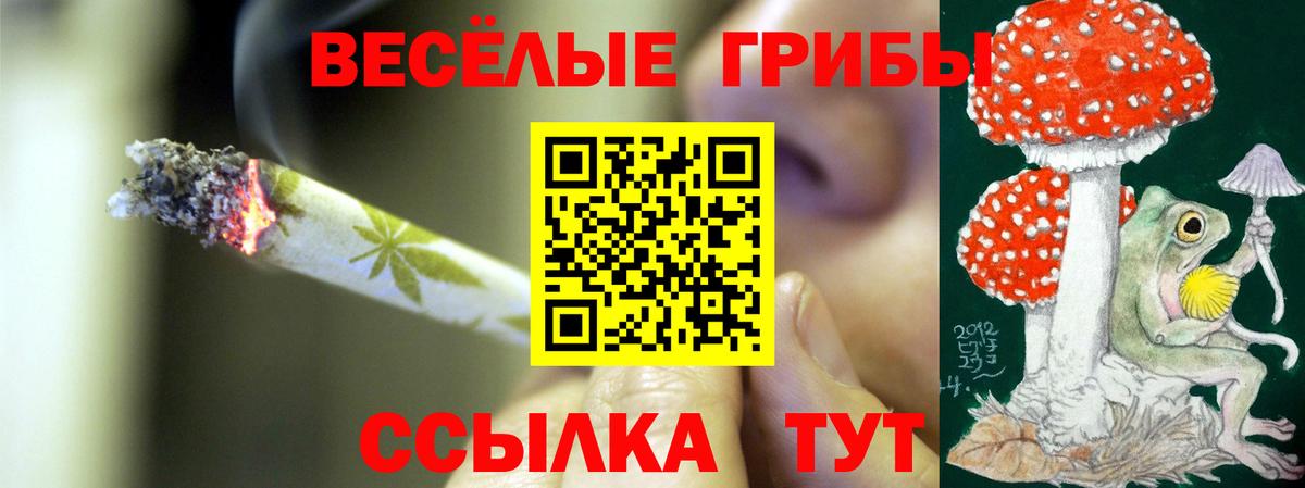 Псилоцибиновые грибы MAGIC MUSHROOMS  Вход с VPN  Выборг 